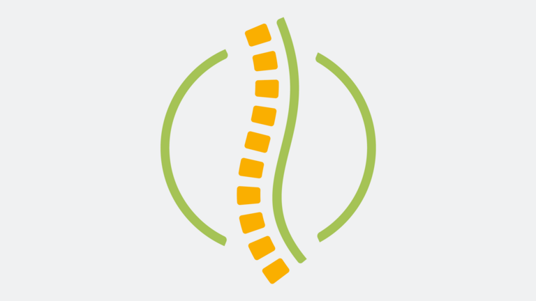 Grafische Darstellung Wirbelsäule